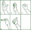 stretches