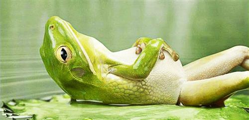 relax